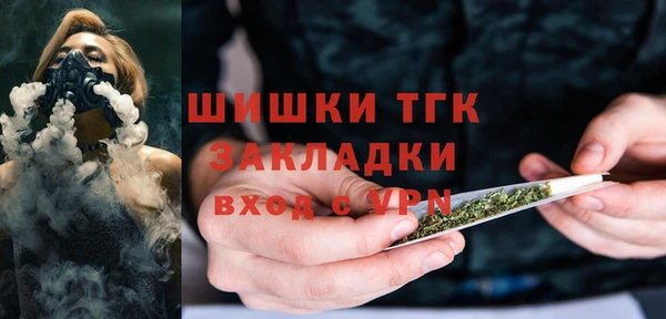 индика Нефтекумск