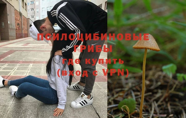 Альфа ПВП Армянск