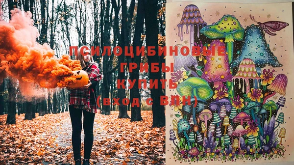 индика Аркадак