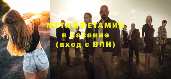 индика Аркадак